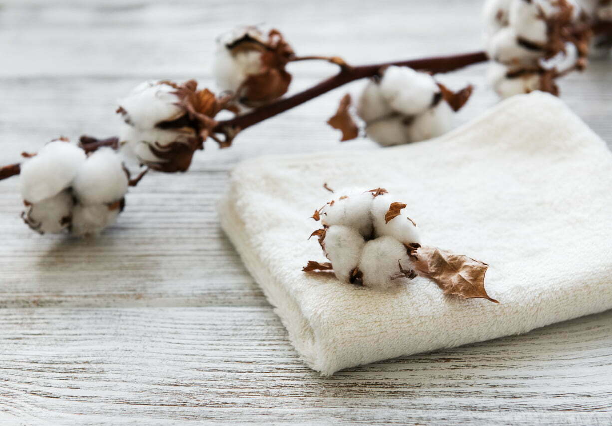 Từ xa xưa cây bông là nguyên liệu chủ yếu để làm vải